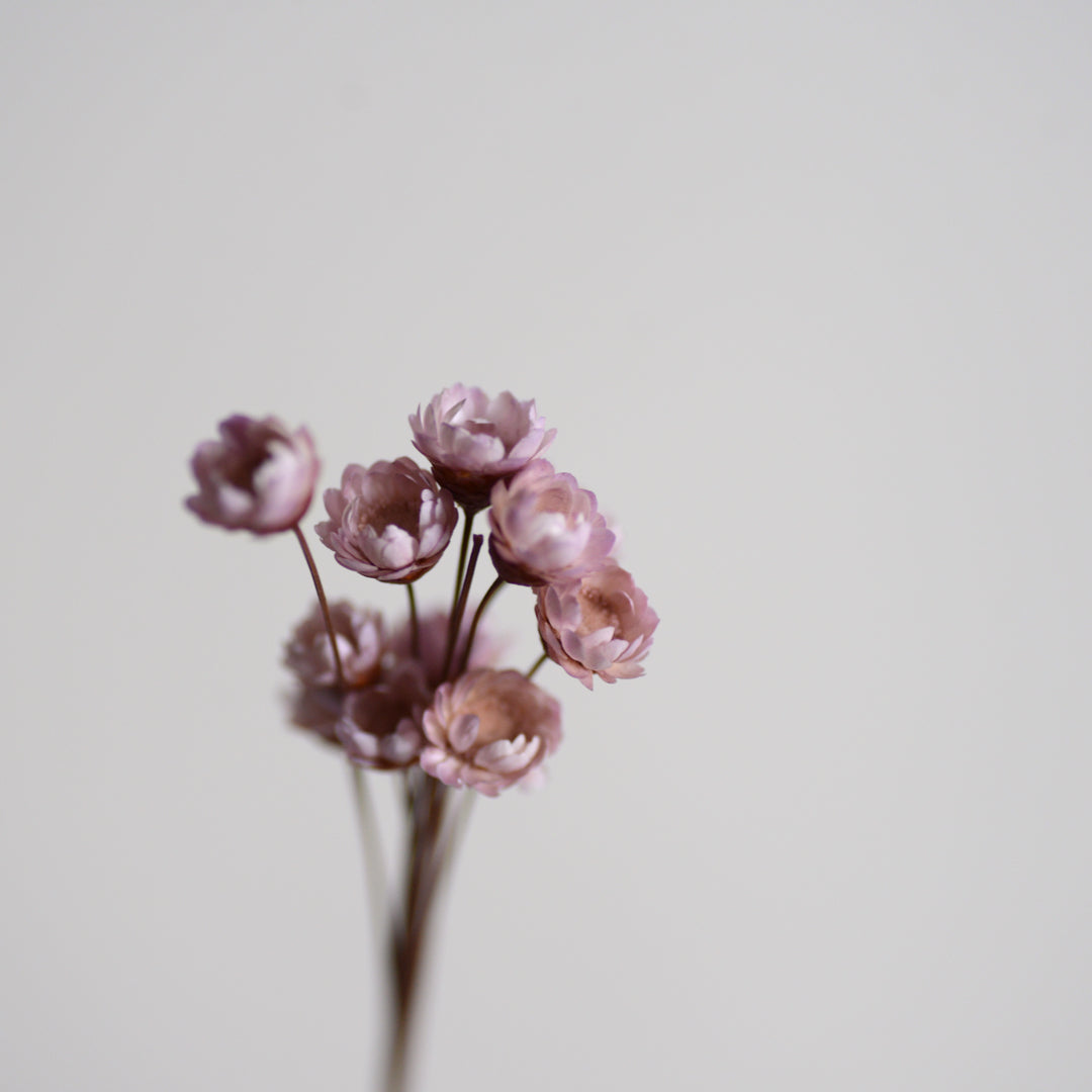 Mini Dried Flowers Bunch