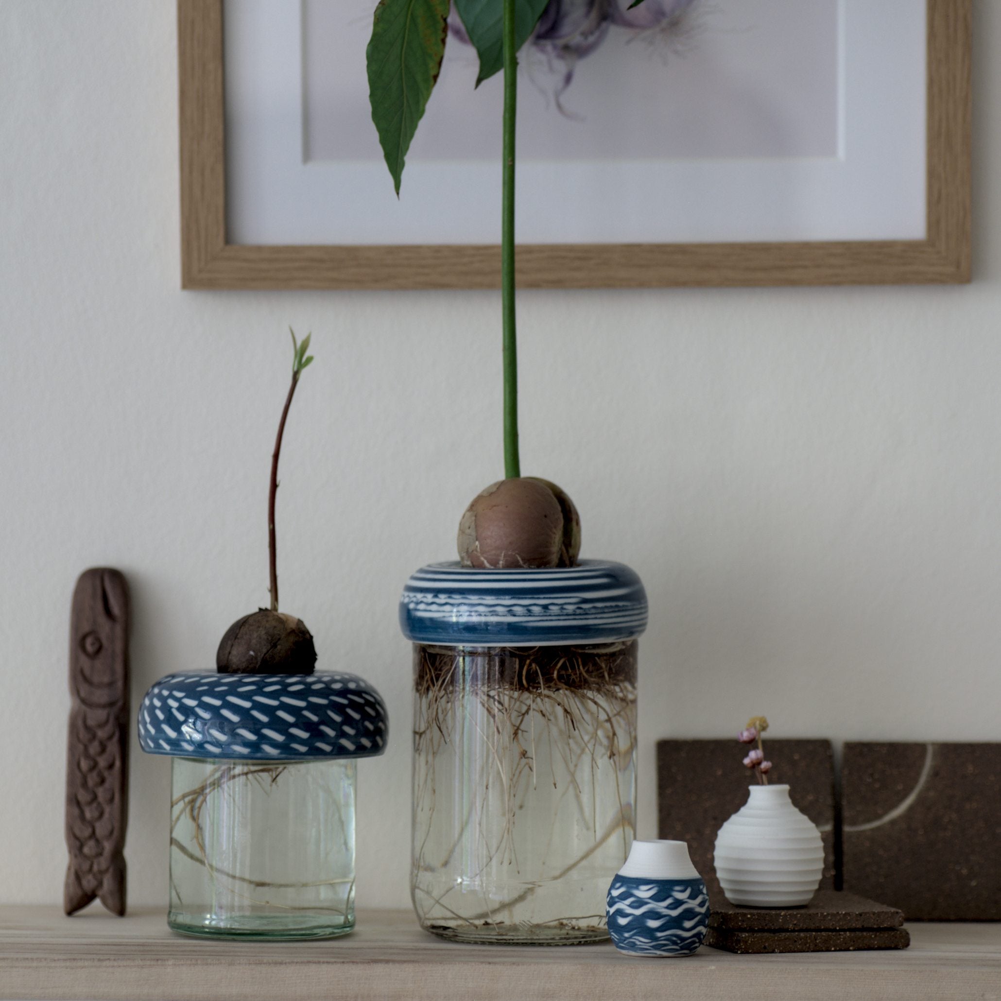 Avocado Planter