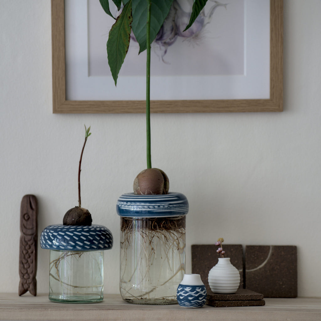 Avocado Planter