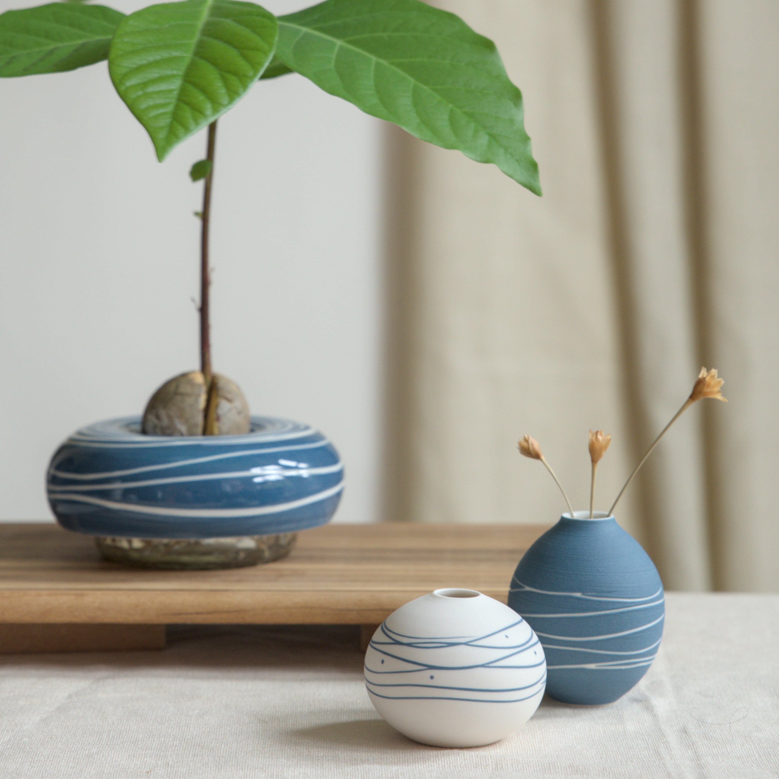 Avocado Planter
